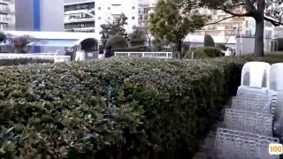 免费无码国产一区|亚洲精品99久久久久中文字幕